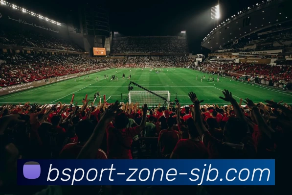 B体育，B体育官网，B体育入口，B体育APP，B体育平台APP 封面图